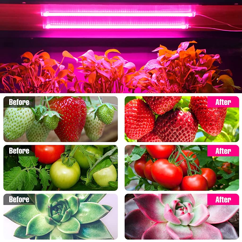 Qpets LED Grow Lights Bars for Indoor Plants, Full Spectrum Strips Auto ON/Off, 8/12/16H Timer, 5 Dimmable Levels High Output USB 5V Grow Lamp Hydroponics Seedling Flower Starting(Pink Purple) Qpets LED Grow Lights Bars for Indoor Plants, Full Spectrum Strips Auto ON/Off, 8/12/16H Timer, 5 Dimmable Levels High Output USB 5V Grow Lamp Hydroponics Seedling Flower Starting(Pink Purple)
